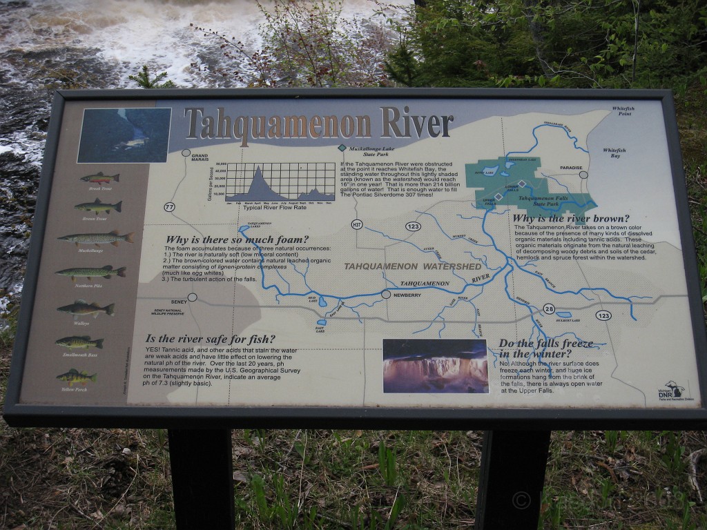 Mackinaw Island Area May 2008 1225.jpg - May 24 2008 a trip to Mackinac City for a 5 M race and a visit to Mackinac Island. A day to the UP, Paradise, Whitefish Point and Tahquamen Falls. This was followed by trips to Petoskey and Charlevoix.